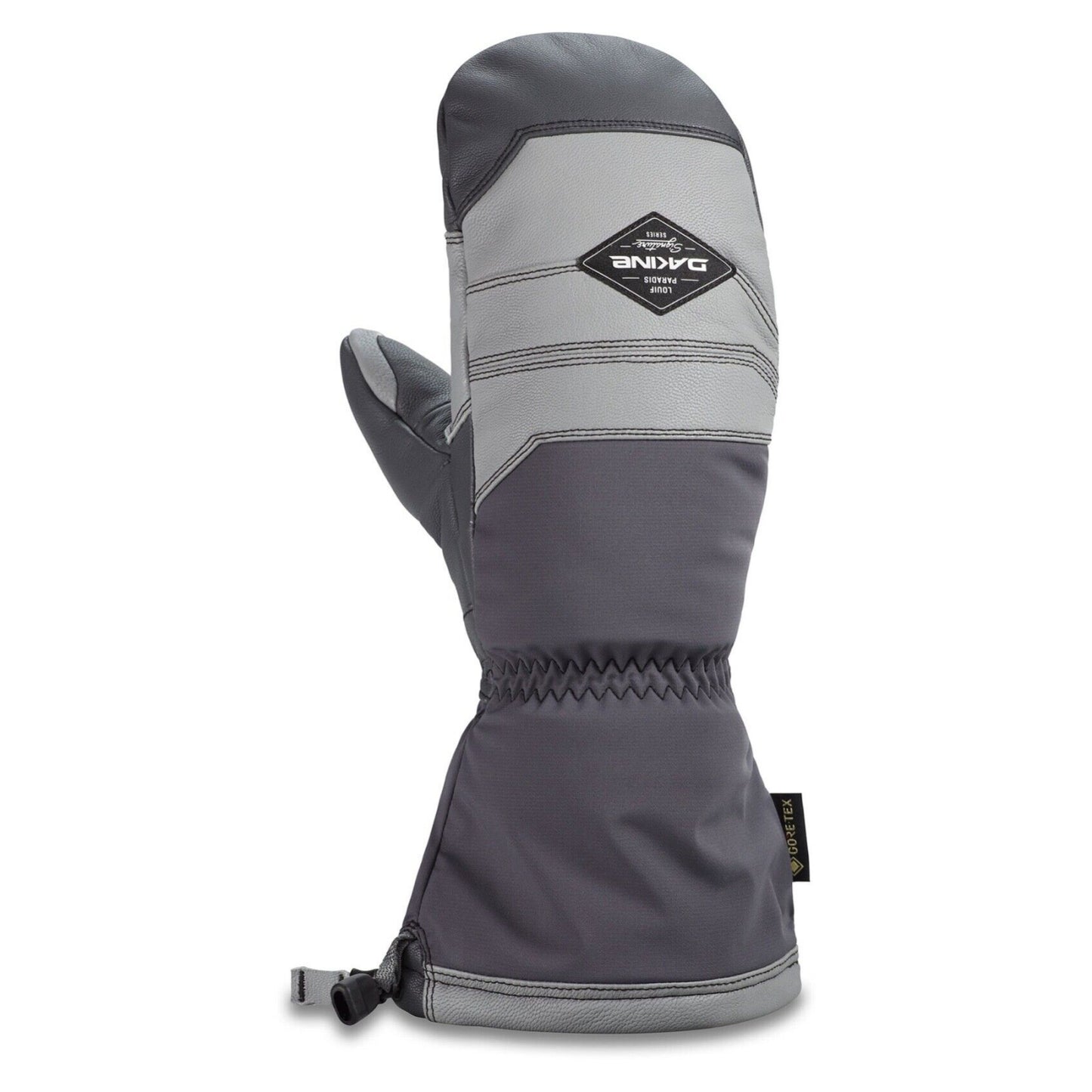 Dakine - Team Excursion Mitts in Louif Paradis